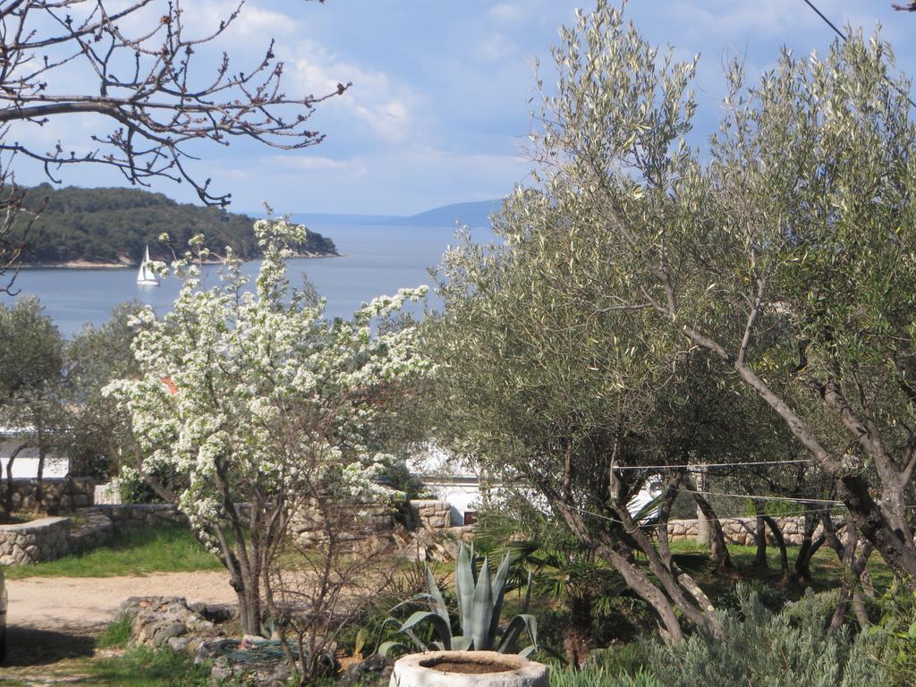 Apartments Palma & Pino Cres Εξωτερικό φωτογραφία