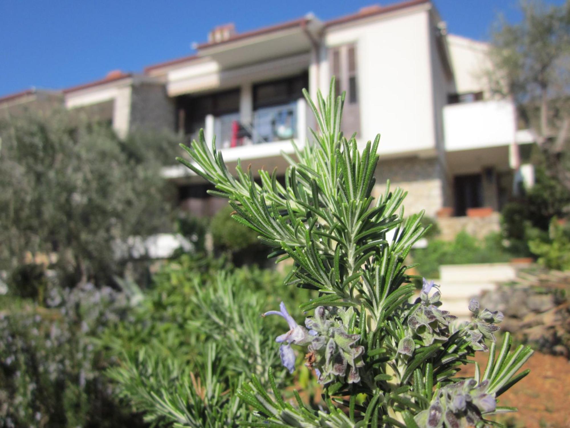 Apartments Palma & Pino Cres Εξωτερικό φωτογραφία
