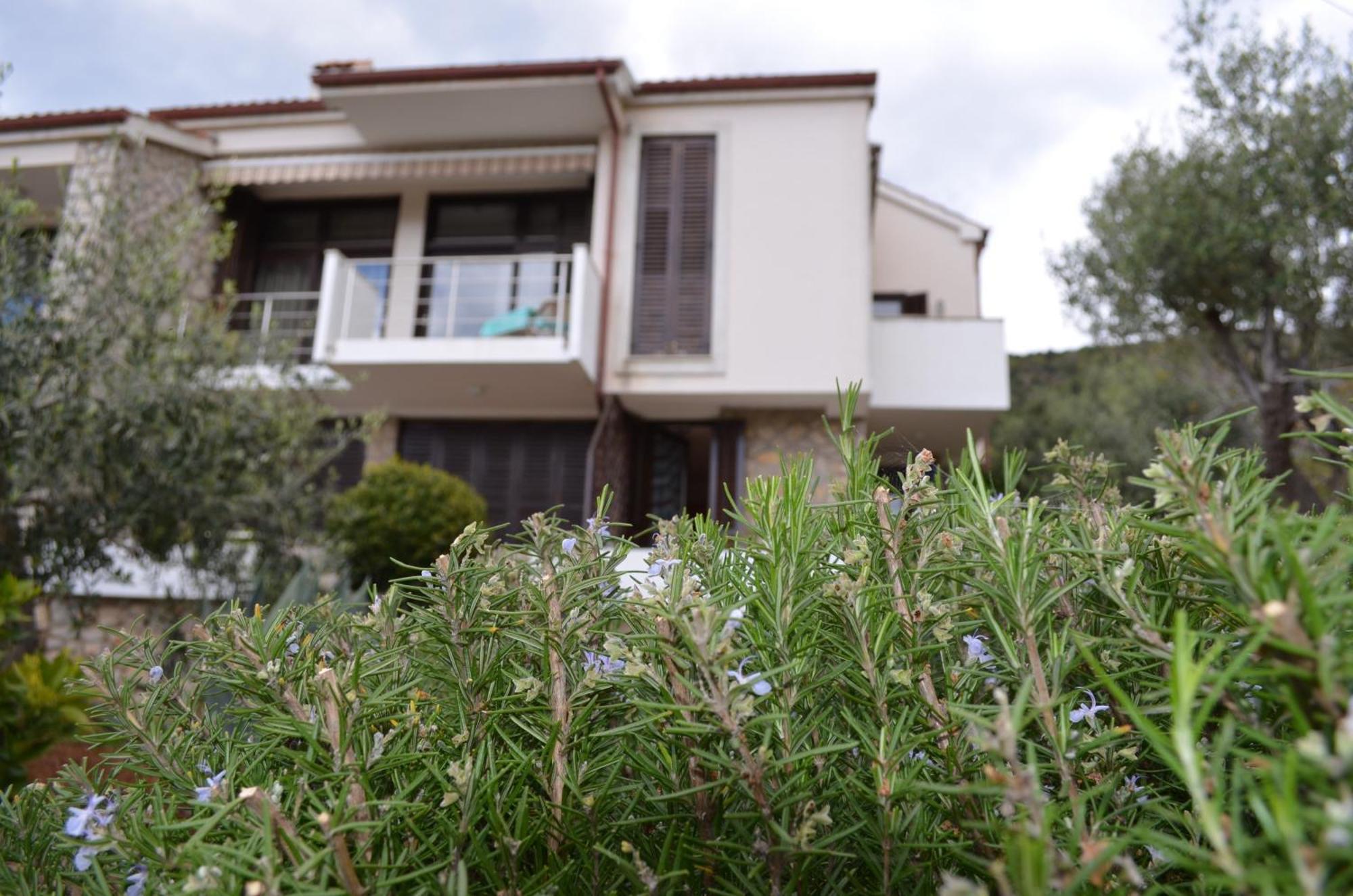 Apartments Palma & Pino Cres Εξωτερικό φωτογραφία